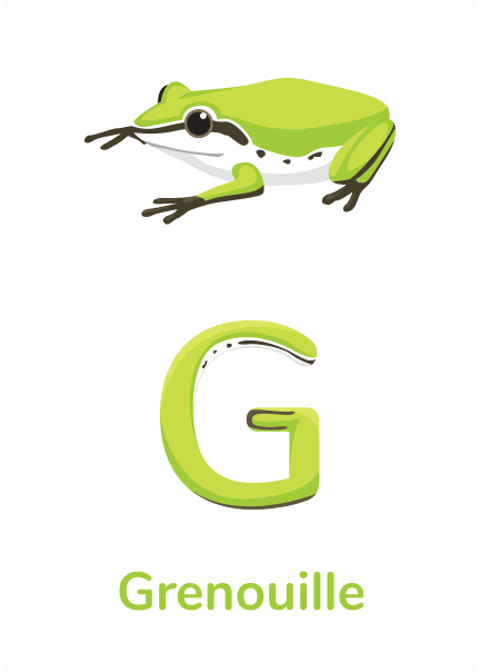 G