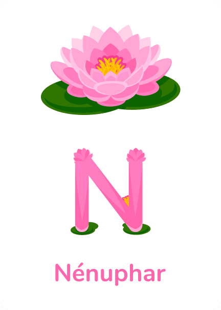 N