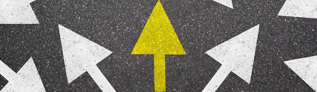 spécialités les plus choisies au lycée