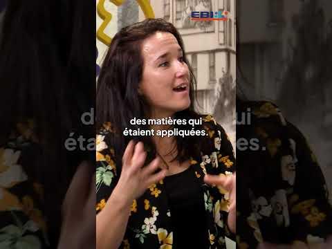 Quelle est la place des stages dans les programmes de l"EBI ?