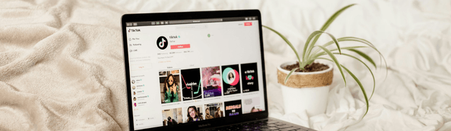 Influenceurs pour apprendre une langue